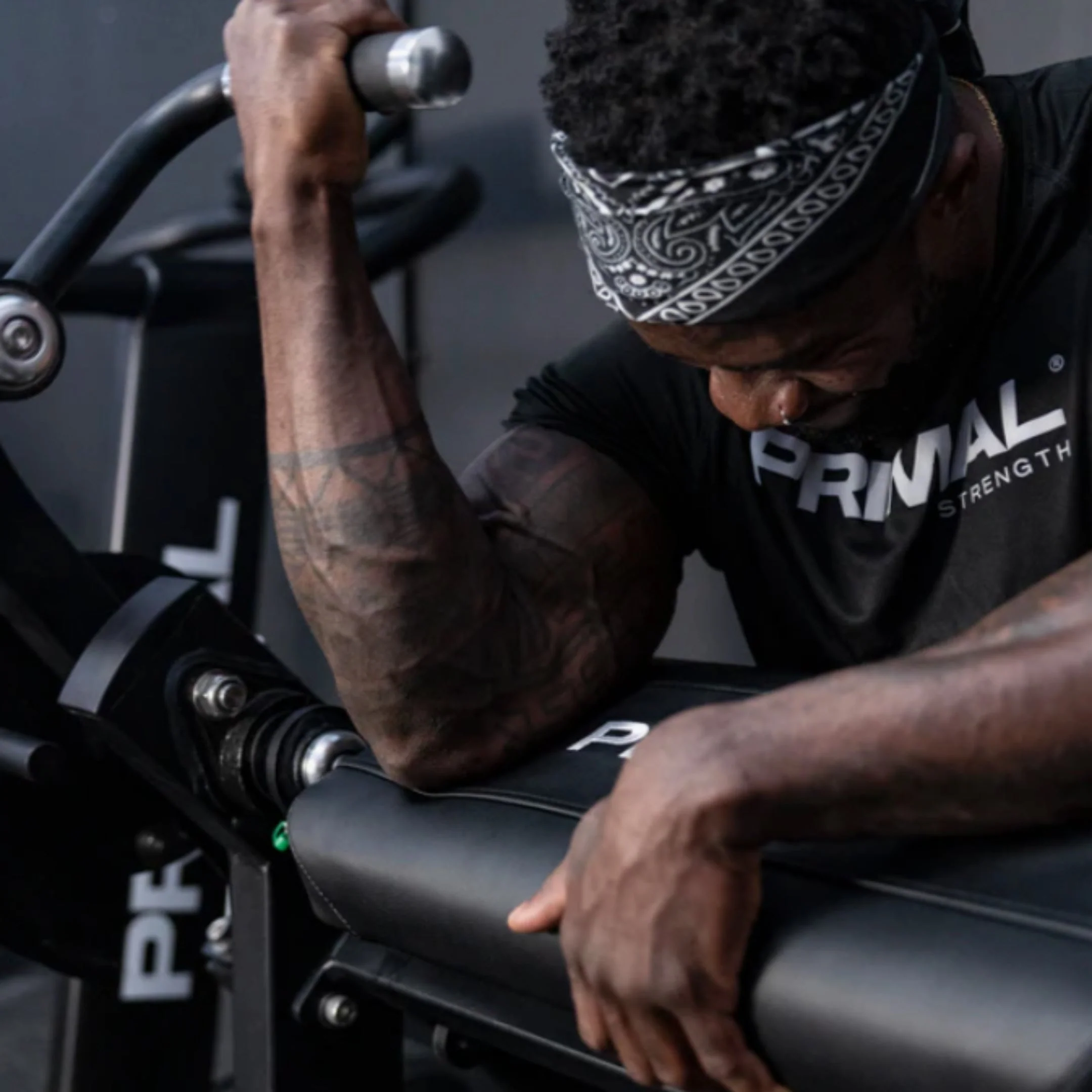 Primal Performance Series Plate Loaded Bicep Curl - Image 7